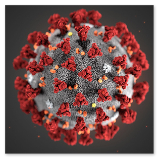 Coronavirus