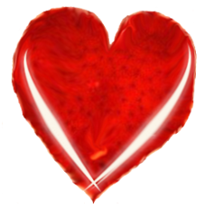 Cuore