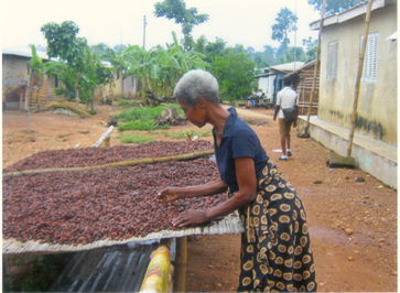 Poano/Bekwai in Ghana 5