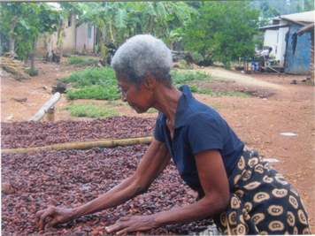 Poano/Bekwai in Ghana 6