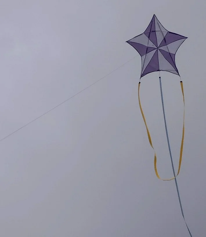 Disegni di aquiloni