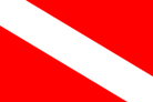 Segnasub