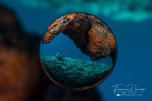 FP14-Effetto-sfera.jpg